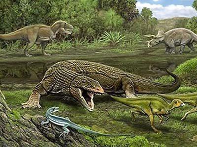 史前巨蜥的进化方式